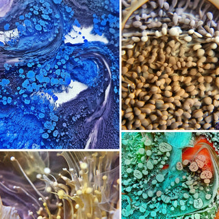 Alcohol Ink for Resin - Petri 8 'Purple' - Alcohol Inks for Petri Art - KAMENSKAYA